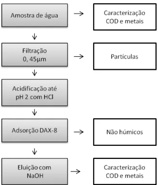 Figura 4-5: Etapas de preparação das amostras pra caracterização e extração de SHA por  resina DAX