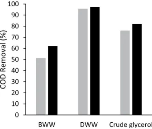 Fig. 1   COD removal (%) by Enterobacter sp. SW (grey bars) and P. 