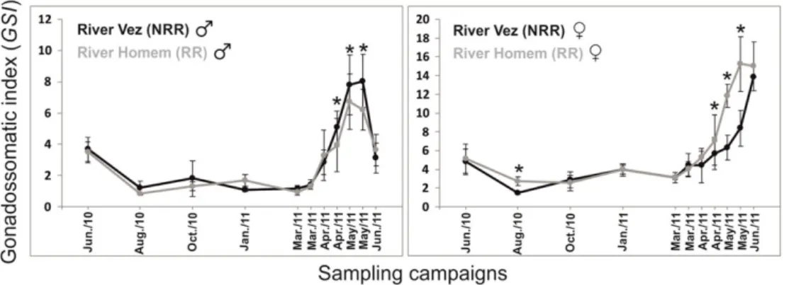 FIGURE 4 Seasonal variation of the gonadossomatic index (GSI; mean ± standard deviation) for male ( ♂ ) and female ( ♀ ) chubs from the two studied populations or rivers