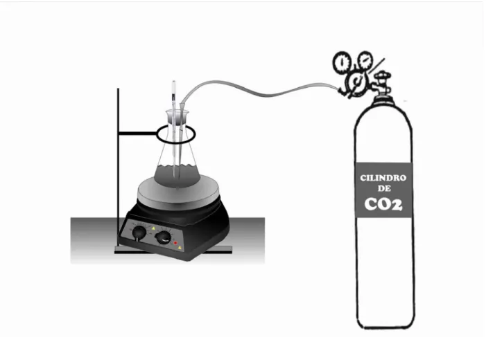 Figura 4.2 - Esquema ilustrando a montagem para a precipitação do carbonato de  cálcio