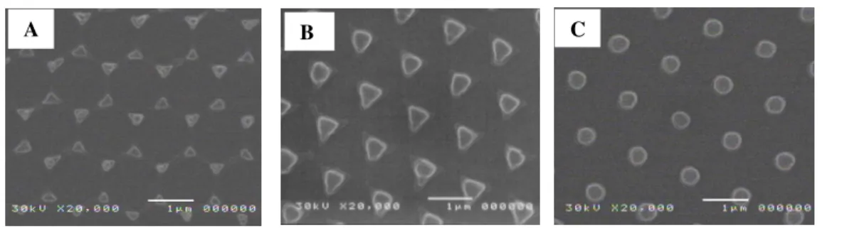 Figure 6 shows the top view of the photoresist structures, recorded for three different phase  conditions: 0, +π/2 or π