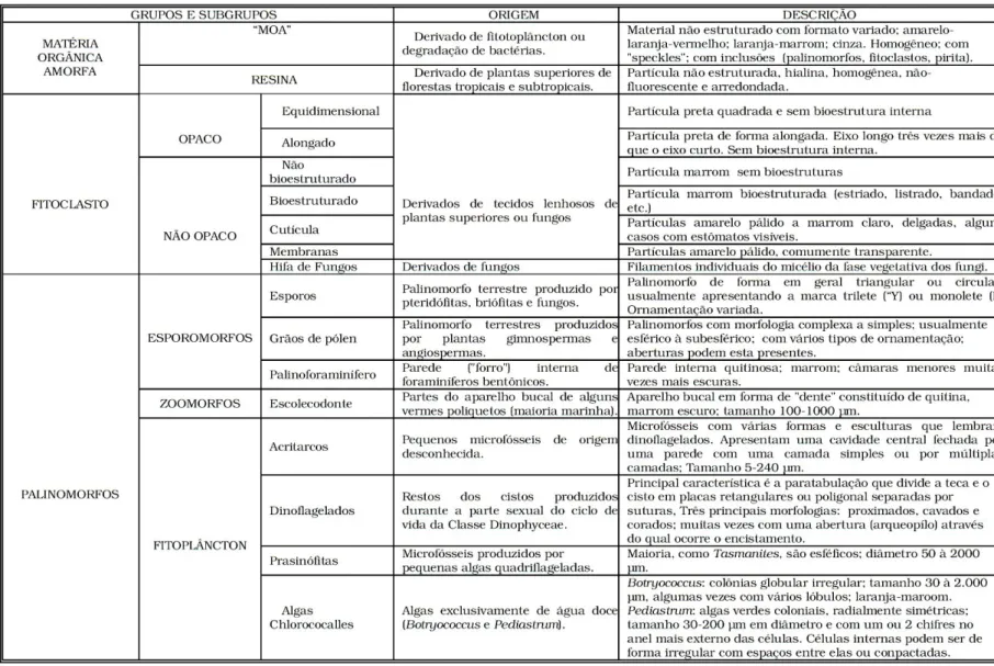Tabela 2.1– Classificação da matéria orgânica particulada – Grupo Moa, Fitoclastos e Palinomorfos