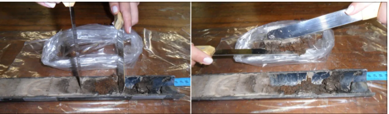 Figura 4. 6 – Amostras de sedimento do testemunho recuperado alocadas em sacos plásticos
