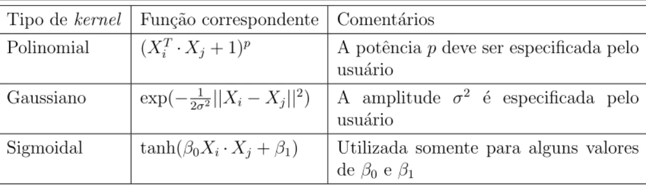 Tabela 3.1: Principais kernels utilizado no SVM (Lorena and Carvalho 2007).