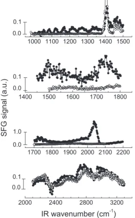 Fig. 4. SFG spectra from 1000 cm 1 to 1500 cm 1 of the following interfaces: CaF 2 / 0.1 mol L 1 ethanol + 0.5 mol L 1 HClO 4 /polycrystalline platinum at 0.05 V vs