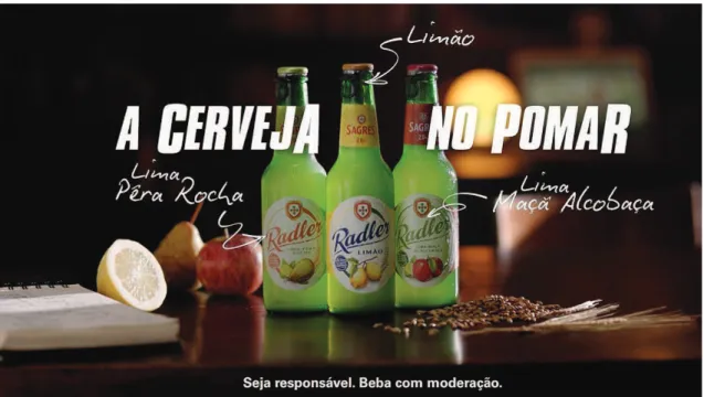 Figura 5 – Imagem de promoção dos novos sabores da gama de produtos, com o mote “Dois  novos sabores, uma união naturalmente refrescante”