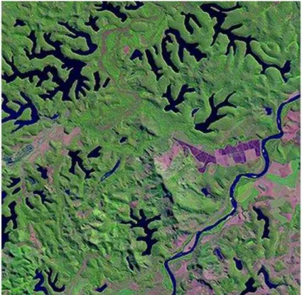 Figura 1.2: Característica das formas dendríticas, alinhadas e com limites retilíneos da maioria dos  lagos do complexo lacustre da região do médio vale do rio Doce (Escala 1:25.000)