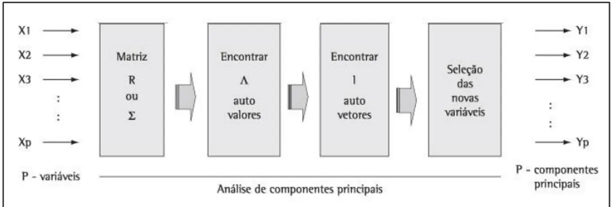 Figura 2-1 - Esquema da aplicação da análise de componentes  principais. (Souza, 2000)