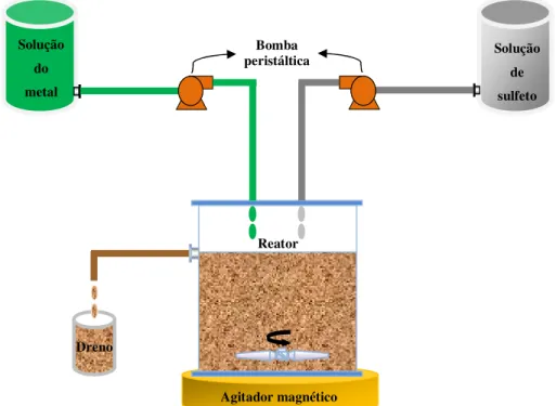 Figura 5.1: Esquema do sistema contínuo com reator de mistura perfeita 