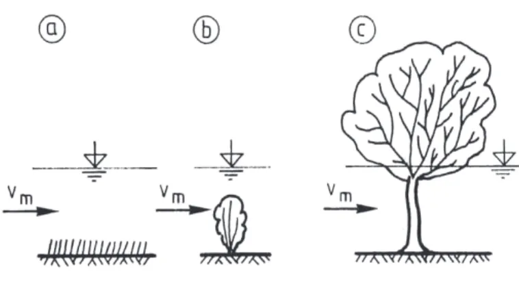 Fig.  3.13  -  Classificação  da  vegetação  ripícola  de  acordo  com  o  seu  comportamento  hidráulico  (DVWK, 1991)