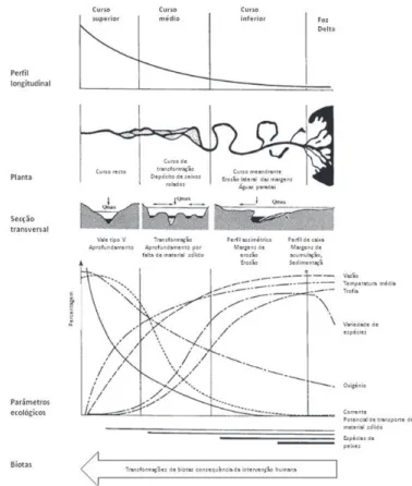 Fig. 1.1. Variação das distintas dimensões e características de uma linha de água tipo ao longo do  seu traçado (Binder, 1998)
