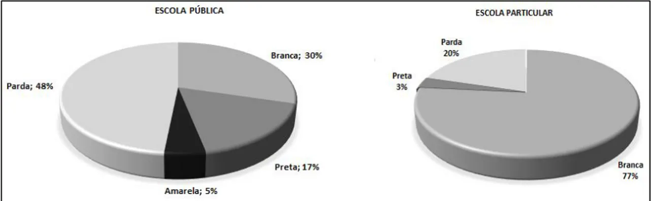 Gráfico 2 - Distribuição dos jovens entrevistados por cor/raça 