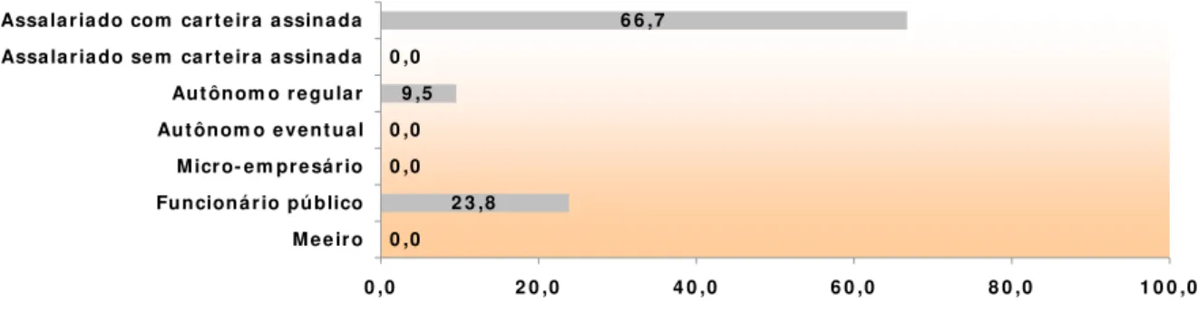 Gráfico -  Vínculo em pregat ício ( % )
