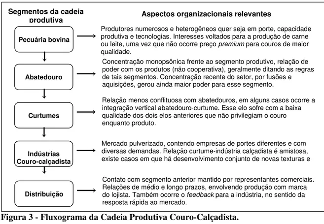 Figura 3 - Fluxograma da Cadeia Produtiva Couro-Calçadista. 