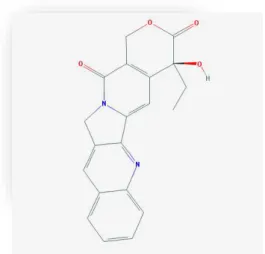 Figura 18 - Camptotecina : Estruturas químicas  adaptada da base de dados PubChem (Kim et al., 