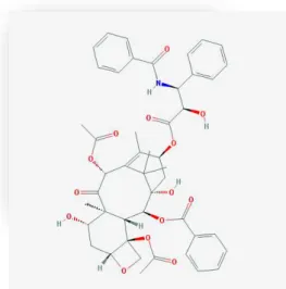 Figura 24 - Paclitaxel: Estruturas químicas adaptada da base de dados PubChem (Kim et al., 2016)