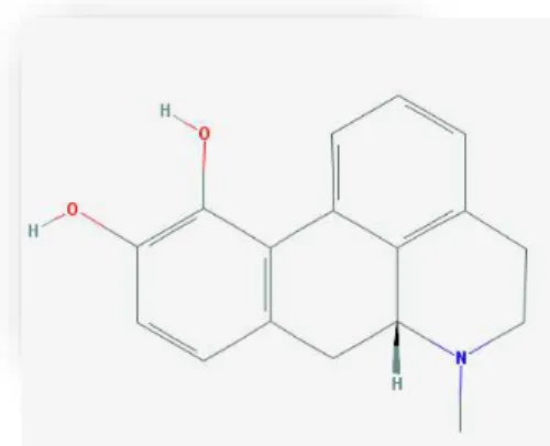 Figura 33 - Apomorfina: Estruturas químicas  adaptada da base de dados PubChem (Kim et al., 