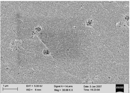 Figura 8.15 – Fotomicrografia (MEV) do sistema C, monolito sol-gel SiO 2  com adição de TiCl 3 
