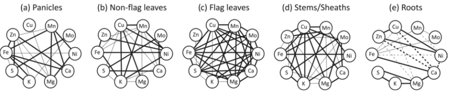 Figure 2. Pearson’s correlation analysis of ten mineral concentrations in (a) panicles, (b) non-flag leaves, (c) flag leaves,  (d) stems/sheaths and (e) roots through the reproductive development of rice plants cultivated with 20 mM of  Fe(III)-HED-TA