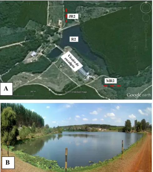 Figura 4. A – Vista aérea da Represa 2 (R2). Fonte: Google Earth. B – área de reflorestamento de  Eucalyptus, Fazenda Fortaleza (Araraquara, SP)
