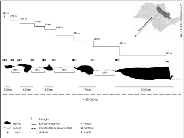 Figura 12. Esquema do perfil longitudinal do Ribeirão das Anhumas, com indicação dos trechos  estudados