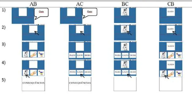 Figura 3. Ilustração das cinco etapas de tentativas de MTS envolvendo as discriminações  condicionais AB, AC, BC e CB, respectivamente, considerando a palavra gato como exemplo
