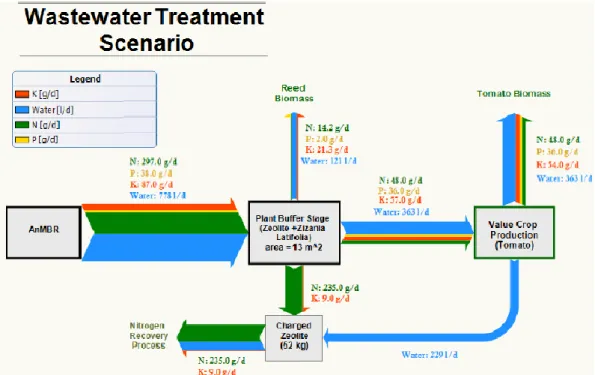 Figura 2.15- Diagrama de balanço de massas diário da recuperação de nutrientes do AnMBR  (Fonte: Calabria et al., 2014) 