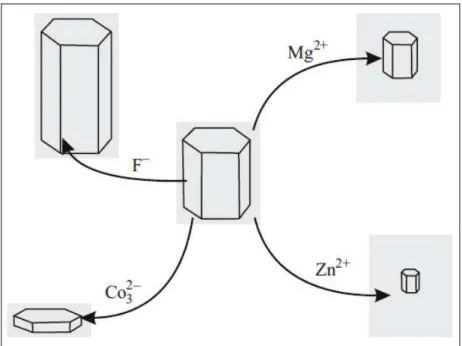 Figura 3. 3 - O efeito de diferentes íons na forma do cristal de hidroxiapatita (Putlyaev e  Safronova, 2006)