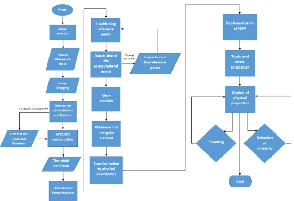 Figure 7.1 – Femur Analysis Tool workflow