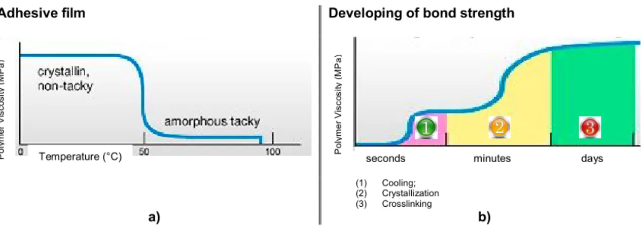 Figure 7: Curing procedure of an adhesive with 2 compound (2K) PU-based solvent: a)  Tack development in adhesive film, during heat activation; b) Development along time of 