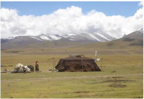 Figura 2.3:  Tenda nômade, próxima ao lago Namtso, Mongólia. Fonte: ROELLI, 2005. 