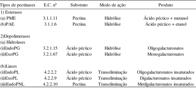 Tabela 1: Classificação das pectinases 