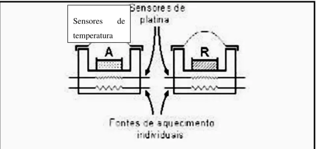 Figura 25:Compartimentos de am O forno é submetido a uma temp programadas. No ensaio mede-se um  mesmo fluxo  de  calor