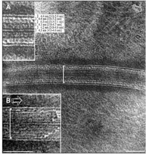 Figure I.5.1. CEMOVIS of the SC lipid    matrix  55 . 