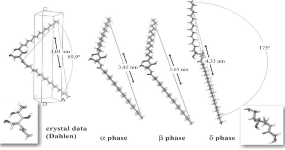 Figure I.5.2. Molecular packing arrangements of hydroxiceramides 62 . 