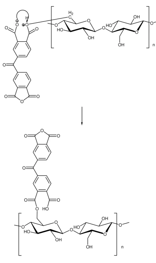 Figura 4.2: Mecanismo de reação entre o BTDA e a celulose das fibras de sisal. 