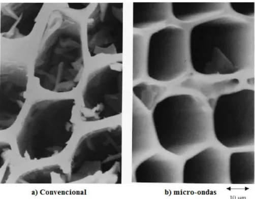 Figura 3.18: Microscopia eletrônica de varredura do carvão vegetal: a) preparado pelo método  convencional de aquecimento; b) preparado pelo método de aquecimento com micro-ondas [40] 