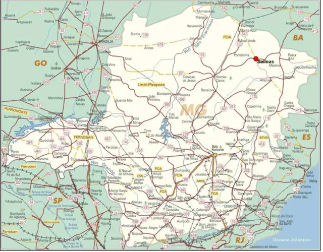 Figura  1  –  Mapa  de  localização  do  município  de  Salinas  –  MG,  onde  foi  realizado  o  experimento