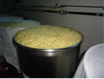 Figura  12  –  Dorna  em  aço  inoxidável  com  volume  útil  de  40  L  em  processo  fermentativo,  utilizada na fermentação em escala piloto no laboratório de microbiologia do IFNMG – Campus  Salinas