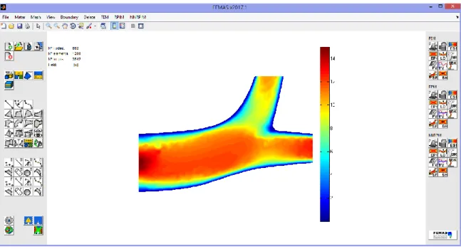 Figure 3.9 – Finite Element and Meshless Analysis Software (FEMAS) - Print-screen of an artery  bifurcation and corresponding velocity field