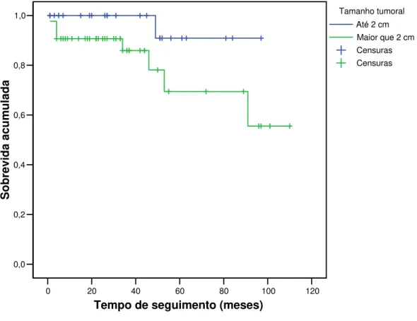 Figura 1 - Sobrevida livre de doença de acordo com o tamanho do tumor (p=0,03). 