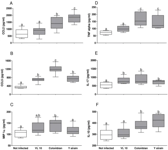 Figure 7. Increased production of inflammatory mediators in Colombian strain infected  C57BL⁄6 mice  in acute phase of infection