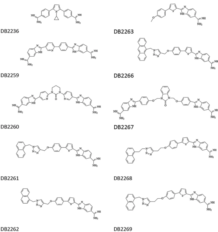 FIG 1 Structures of the diamidines and monoamidines evaluated in this study.