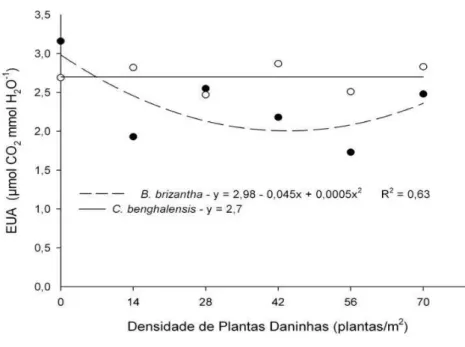 GRÁFICO 4 - Eficiência no Uso da Água (EUA) do mogno-africano em  relação às densidades de plantas daninhas, após 90 dias de  convivência