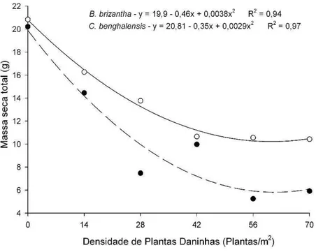 Gráfico  1  -  Massa  Seca  da  parte  aérea  do  mogno-africano  em convivência  com  densidades  de  Commelina  benghalensis  e  Brachiaria  brizantha