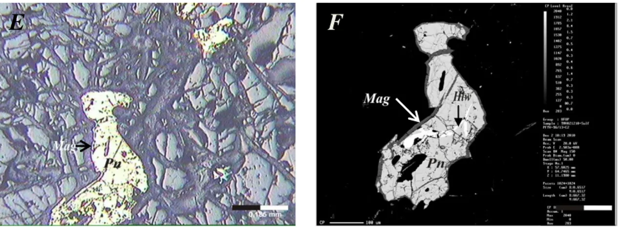 Figura  3.02D:  Fotomicrografia  da  lâmina  delgada  polida  BL-07-38a  (ponto  12)  mostrando  antofilita  (Ath) acicular sobrecrescida em ortopiroxênio (Opx) e alterando para talco (Tlc)