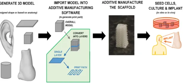 Figure 9 – AM technique. Overall procedure for additive manufacturing a tissue engineering construct, with  the building of objects through the addiction of material in a layer-by-layer fashion