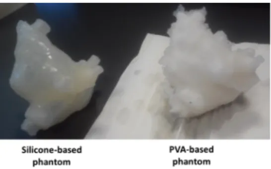 Figure 5 - Final silicone-based and PVA-C-based phantoms. 