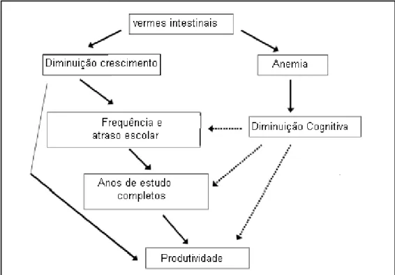 Figura 4- O caminho em que os nematódeos intestinais podem afetar o futuro potencial  de  produtividade  mediante  anemia  e  desnutrição  e  seus  efeitos  na  função  cognitiva  e  desempenho  escolar