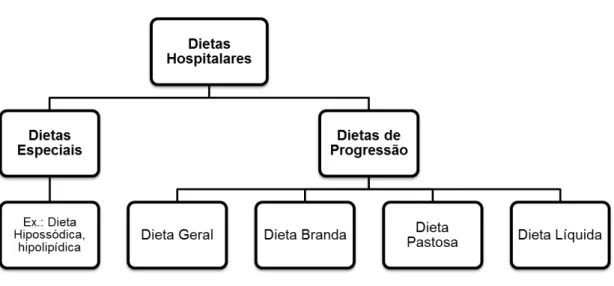 Figura 1: Classificação e nomenclatura das dietas hospitalares 